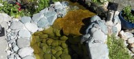 Natural waterpool landscape